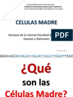 2014 Células Madre 