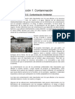 Lección 1_Contaminación