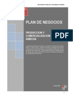 Plan de Negocios Kiwicha Talavera