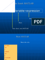 Caâu Leänh MATLAB: Variable Expression