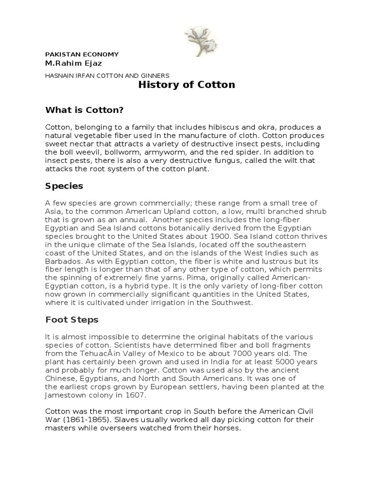 Overview of Cotton Industry of Pakistan PDF Crops Textiles