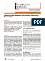 Pathophysiology, Diagnosis, and Treatment of Discogenic Low Back Pain