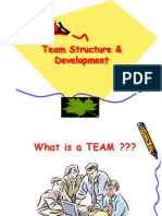 Team Structure & Development
