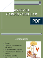 Curs 11 MD Sistemul Cardiovascular
