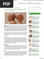 Download Cara Alami Menumbuhkan Rambut Botak _ Kesehatan96 by Fia Putri SN237990214 doc pdf