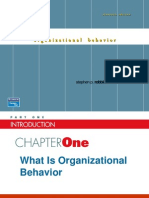 Organizational Behavior: Stephen P. Robbins