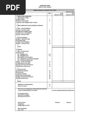 Balance Sheet Format