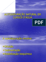 Autodepuração 2007