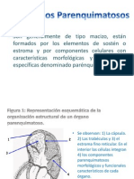 El Estroma Exposicion