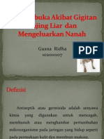 Luka Terbuka Akibat Gigitan Anjing Liar Dan Mengeluarkan