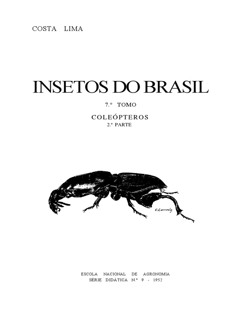 Insetos | PDF | Besouro | Insetos