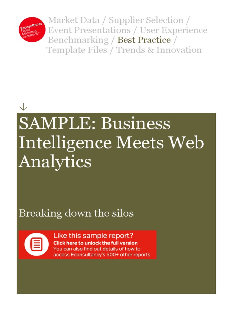 SAMPLE Econsultancy Business Intelligence Meets Web Analytics | PDF ...