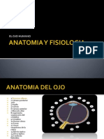 Anatomia y Fisiologia (Ojo)
