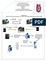 Desarrollo Experimental