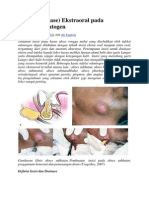 Incisi Drainase