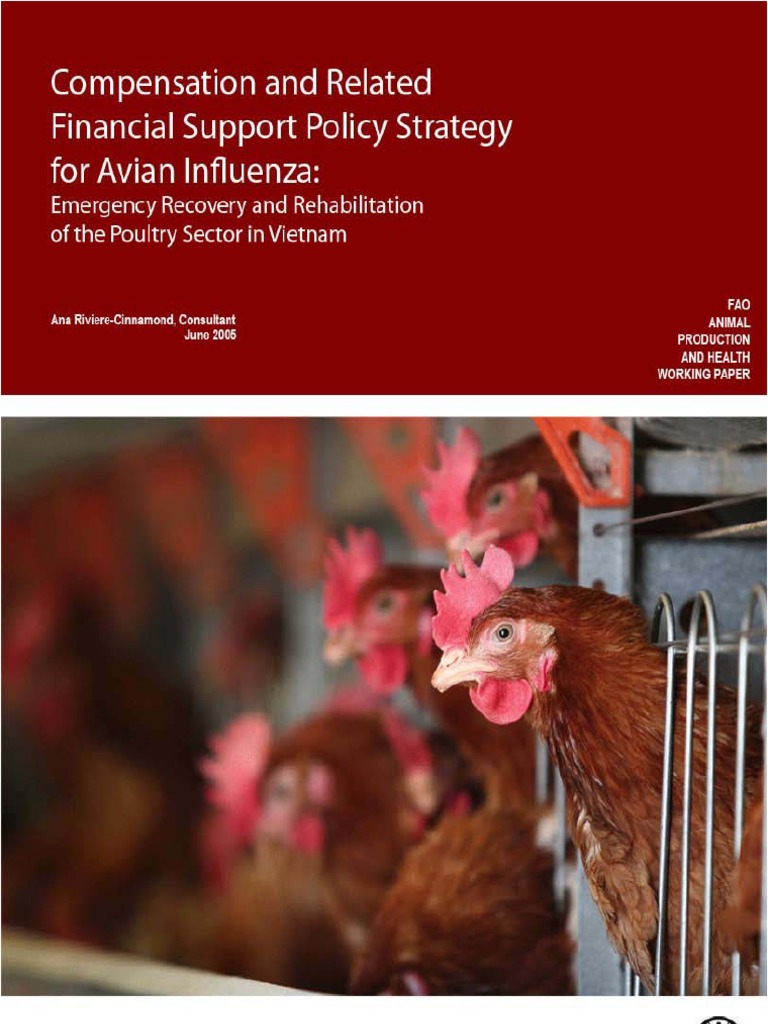 Which virus is responsible for bird flu image