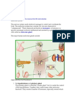 Hormones Endocrine Gland: (Clipart Edited From Corel Presentations 8)
