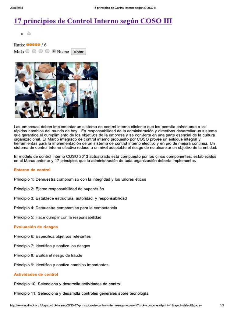 17 Principios de Control Interno Según COSO III | PDF