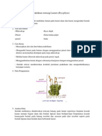 Praktikum Tentang Lumut (Bryophyta)