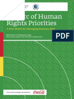 Arc of Human Rights Priorities Web Version 090311