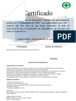 Certificado Curso Designado de Cipa