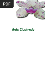 Guia_Ilustrado_Orquideas.pdf