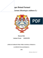Download muntingia calabura by Lailatun Nimah SN238135982 doc pdf