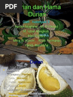 Download Durian Dan Hama Durian by Mee Lye Ftr SN23813667 doc pdf