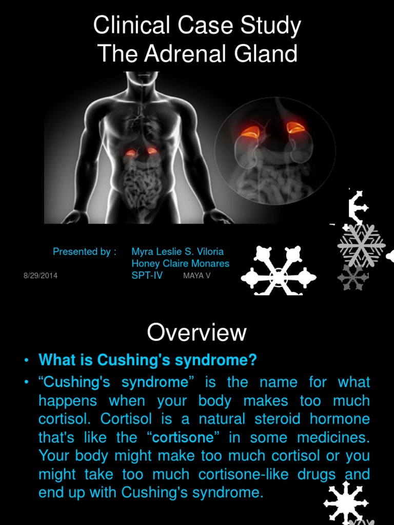 Medulla oblongata injury image