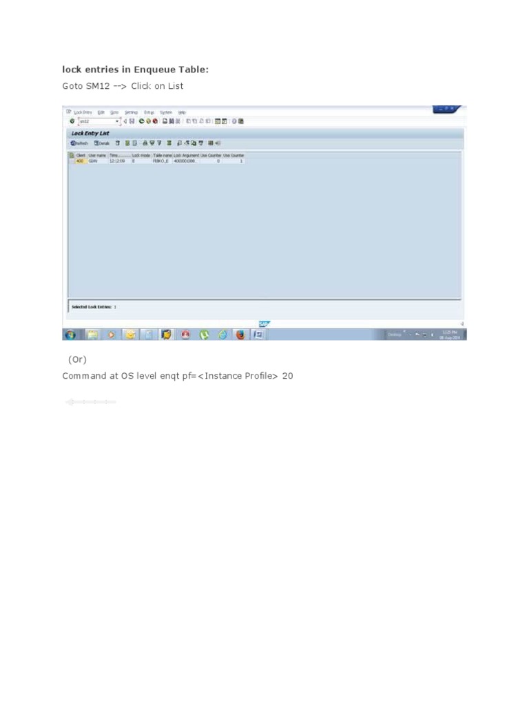 Goto SM12 Click On List Lock Entries in Enqueue Table PDF Formalism (Deductive