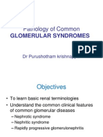 Glomerular Syndromes PK