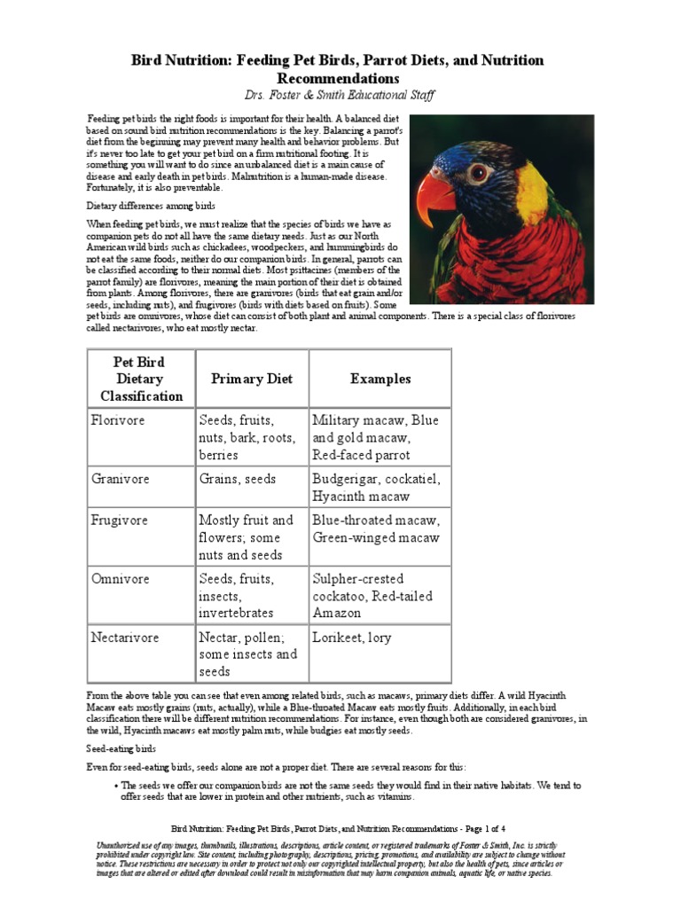 Bird Nutrition Feeding Pet Birds Parrot Diets and Nutrition