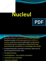 Nucleul