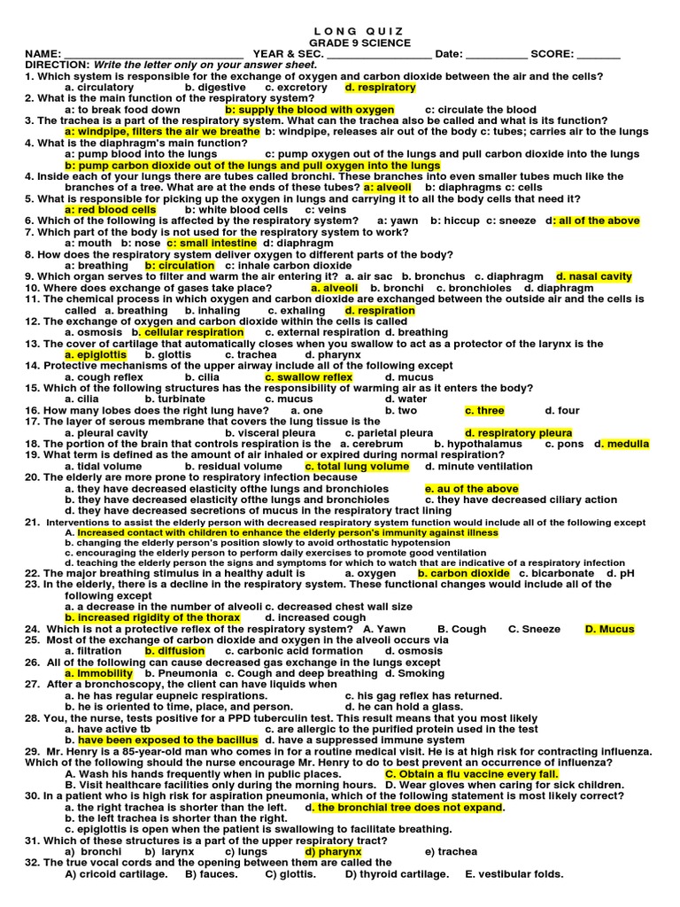 Long Quiz Respiratory System Respiratory System Respiratory Tract