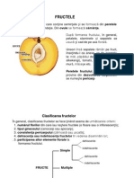 Fructe Lab