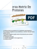 163055789 La Fuerza Motriz de Protones Ppsx