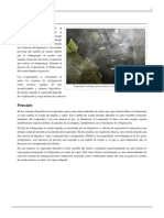 Evaporador.pdf