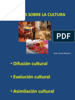 Teorías Sobre La Cultura