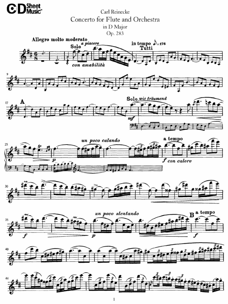 Carl Reinecke - Concerto For Flute and Orchestra in D Major Op
