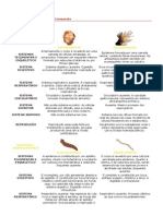 Tabela Anatomia Comparada