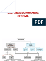 HG Predavanje 2 2012