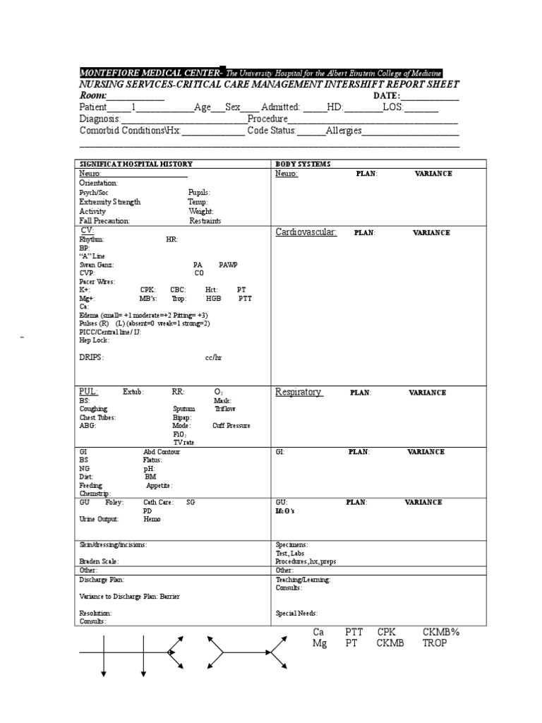 Critical Care New Shift Report Sheet 2008