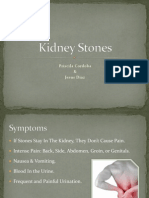 Kidney Stones Priscila & Jesus - Final