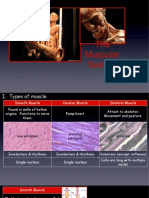 Powerpoint on Muscles