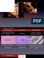 Powerpoint On Muscles