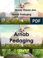 Cerita Arnab Hiasan Dan Arnab Pedaging