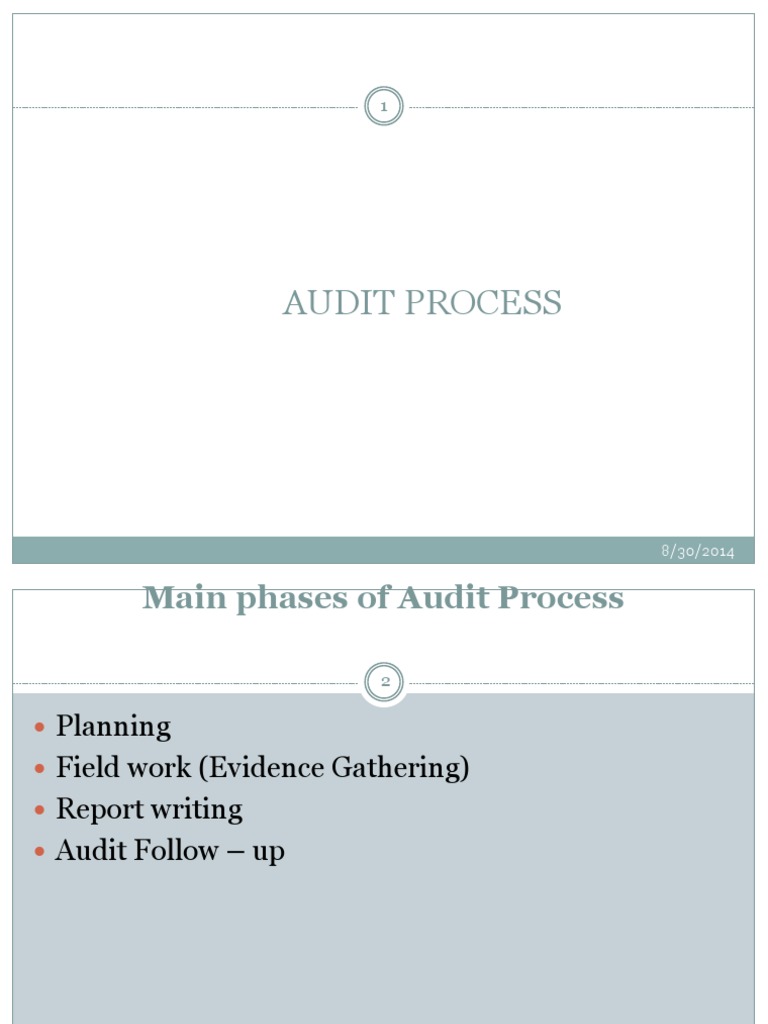 Audit Process | PDF