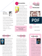 Mi Folleto