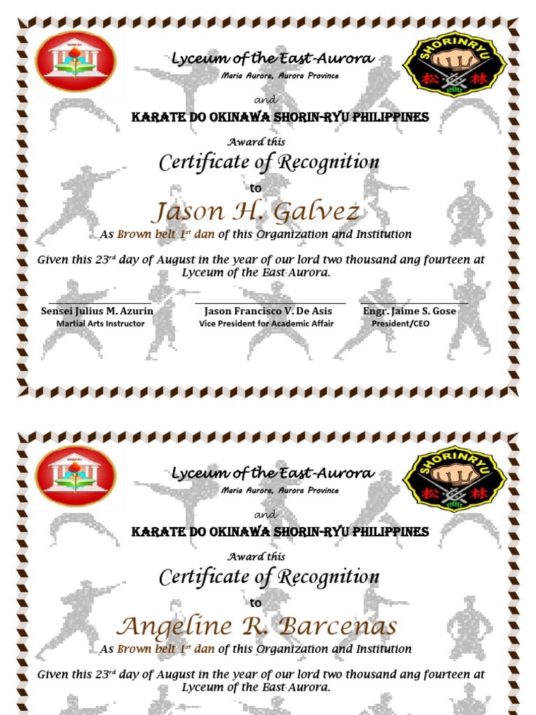 Karate | PDF | East Asian Martial Arts | Combat