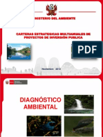 Minister Del Ambiente PDF